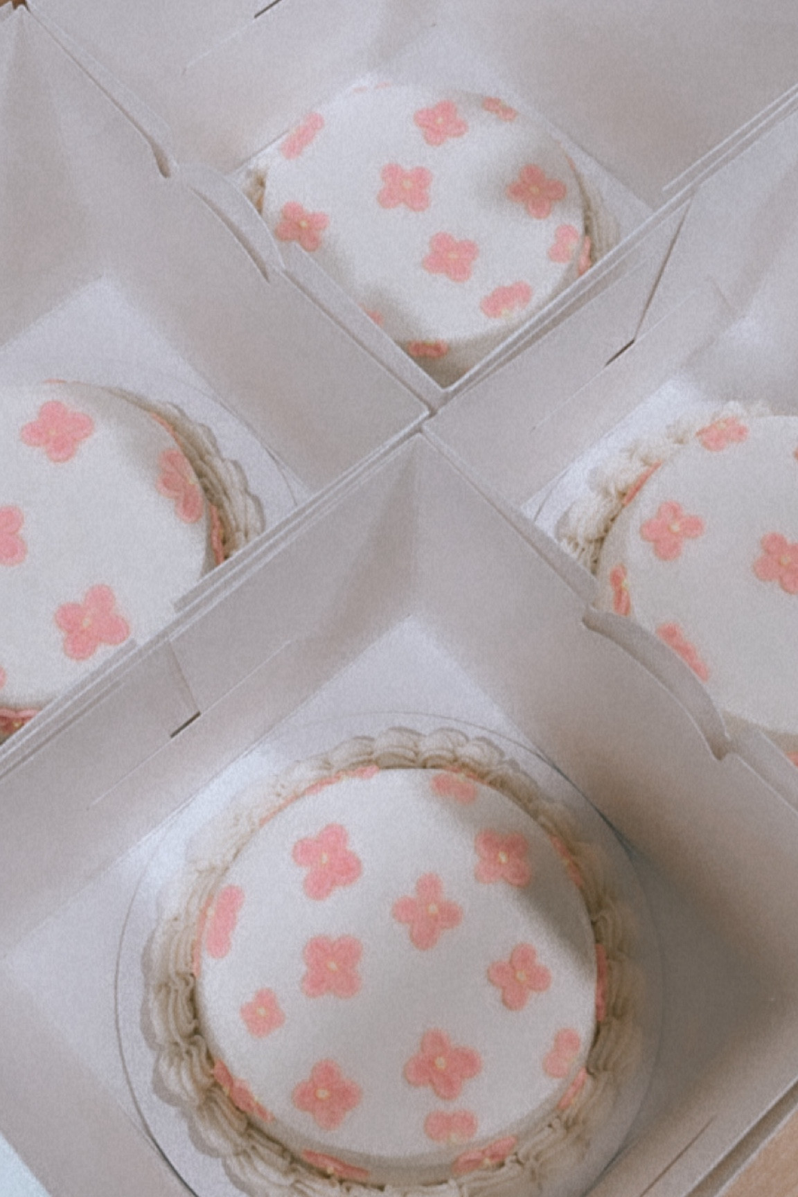 April flowers brought May flowers 💐

#LTKParties #LTKGiftGuide #LTKSeasonal