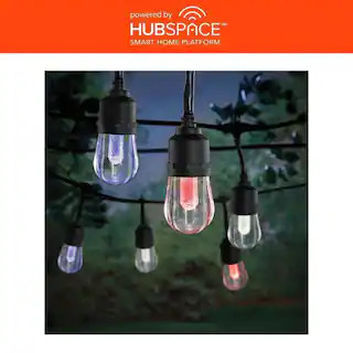 Smart Black 12-Light 24 ft. Indoor/Outdoor Plug-in Integrated LED RGBW String Light with Party Mo... | The Home Depot