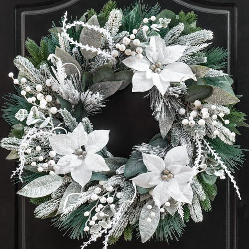 Winter Wreaths for Front Door 24 Inch Outdoor Christmas Wreath Artificial Winter Door Wreath with White Christmas Flowers,Snowy Eucalyptus and White Berry for Farmhouse Home Wall Door Decor | Amazon (US)