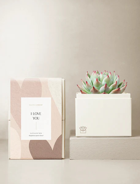 Love Bliss Garden | Lula's Garden