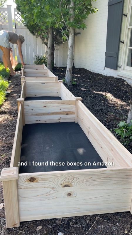 Our garden boxes from
Amazon! 