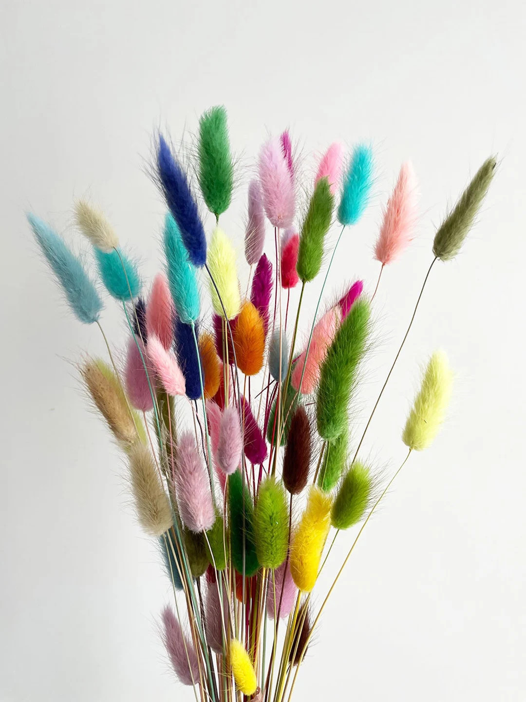 50 pcs Dried Lagurus, mix colors tails, Dried bunny Tails, Dried flowers bouquet, Dried Grass, Bu... | Etsy (US)