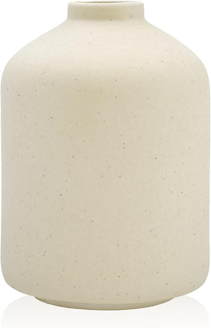 Ceramic Vase for Home Decor,Ceramic Vase, Dried Flower Vase, Living Room Decoration, Flower Arran... | Amazon (US)