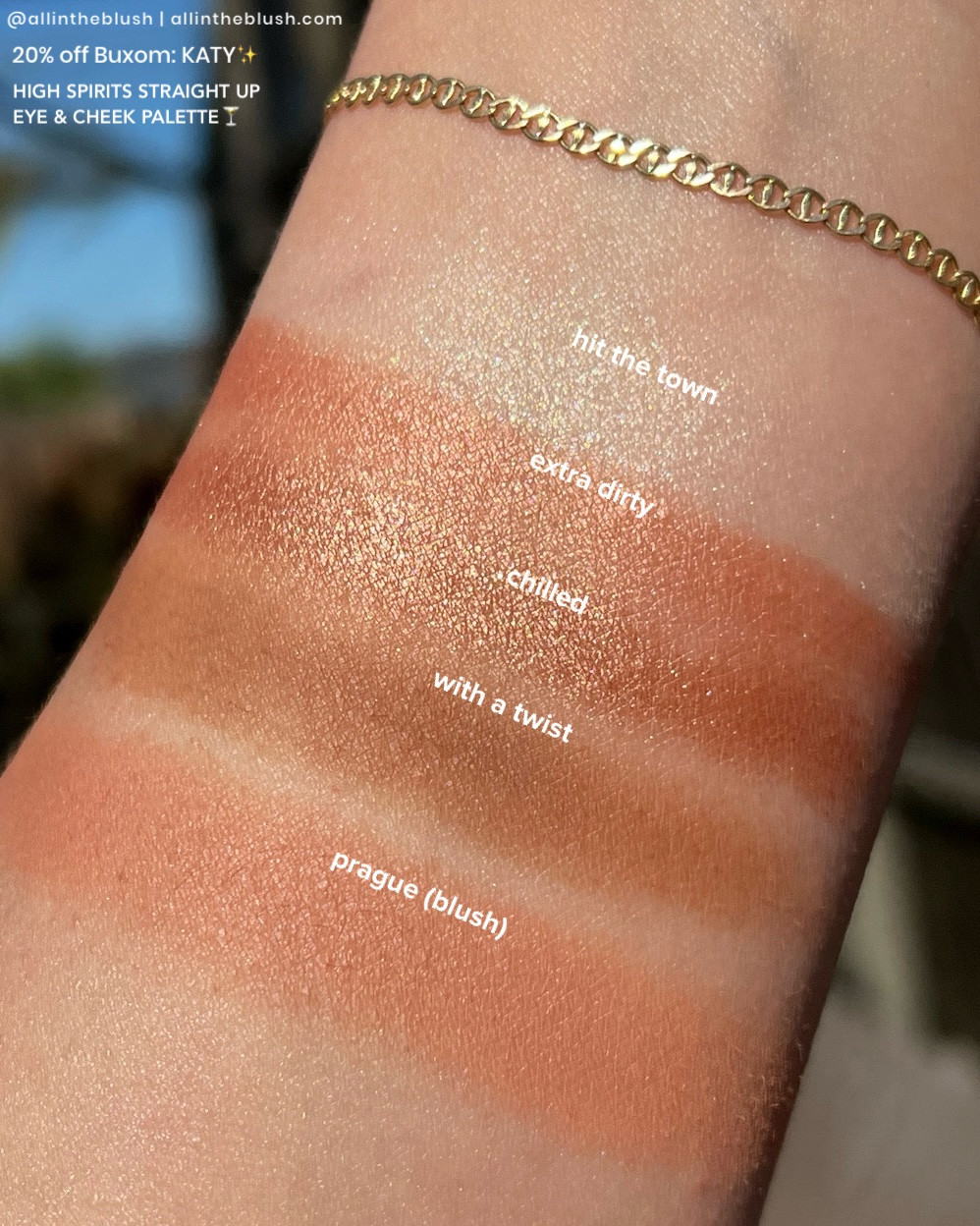 Swatching the Buxom High Spirits Straight Up Palette (save 20% off Buxom with code: KATY💖)

#LTKootd #LTKBeauty #LTKgrwm