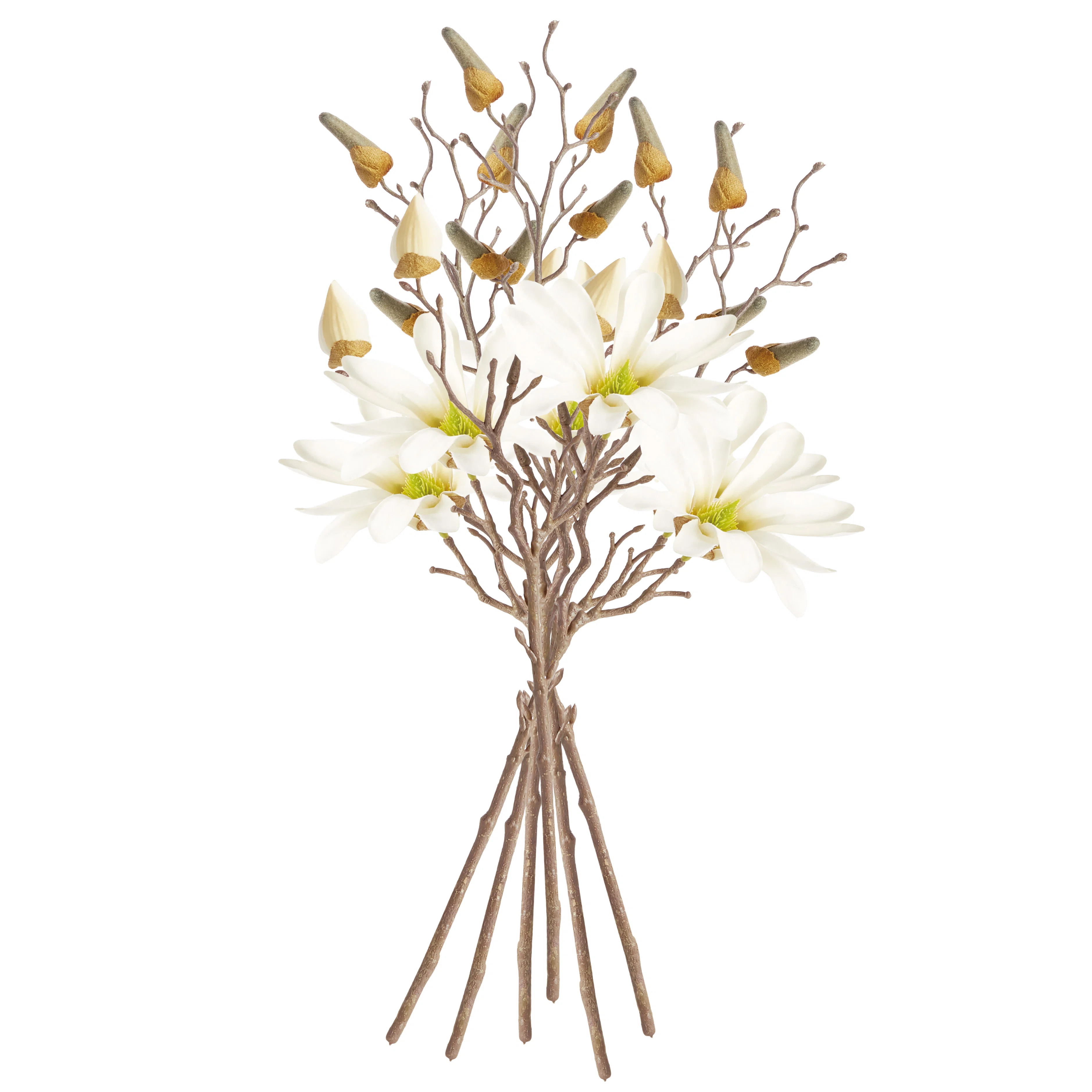 STAR MAGNOLIA BRANCHES 32", SET OF 6 (Set of 6) | Birch Lane