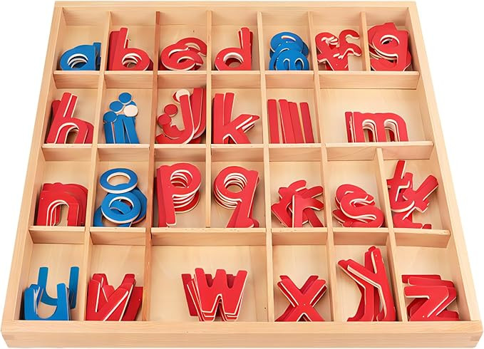 JACYUIG Montessori Spelling Language Learning Materials Toys Wooden Moveable Alphabet Preschool O... | Amazon (US)
