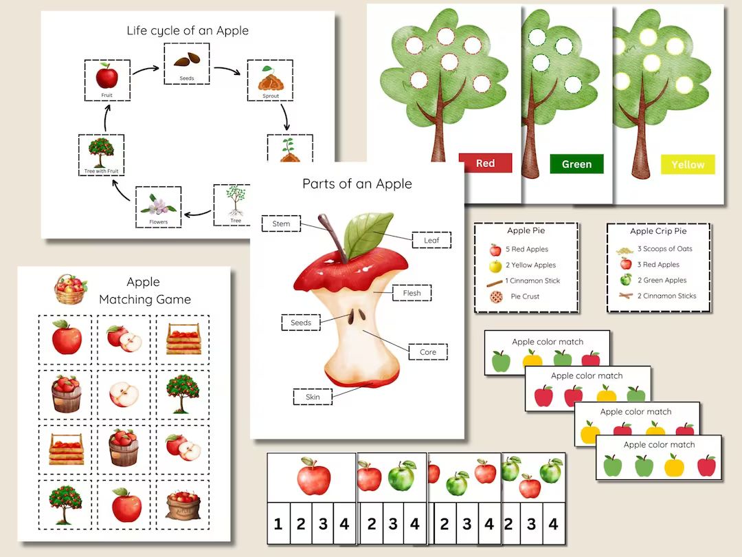 Apple Activity Pack for Kids Printable Learning Bundle Apple - Etsy | Etsy (US)