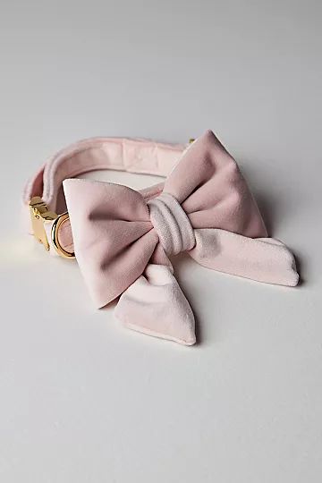 The Foggy Dog Velvet Lady Bow Collar | Free People (Global - UK&FR Excluded)