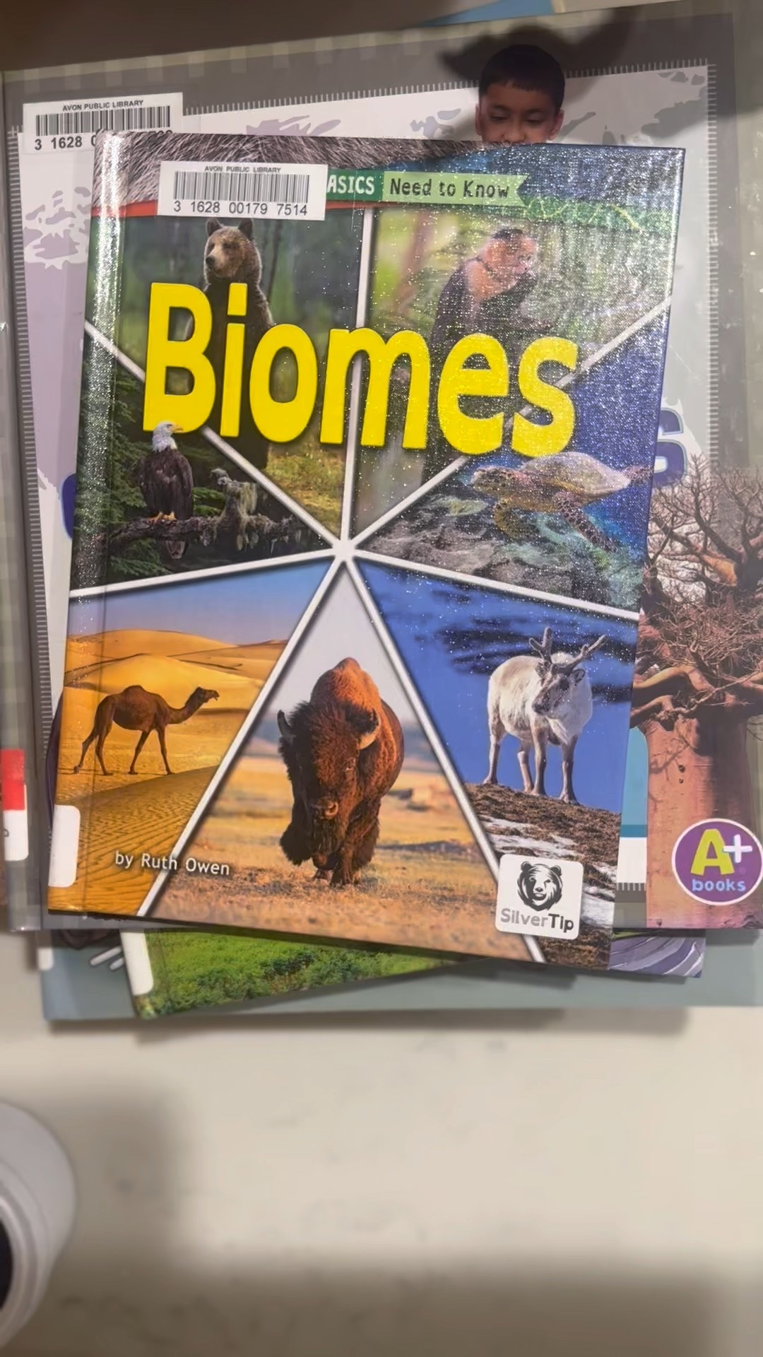 Our weekly library book haul for our homeschool week 

#LTKHome #LTKFamily #LTKKids