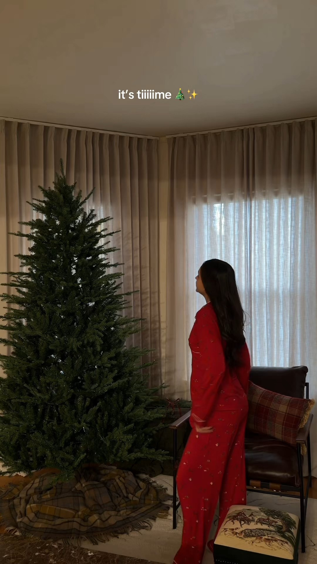 Christmas tree, ornaments and skirt