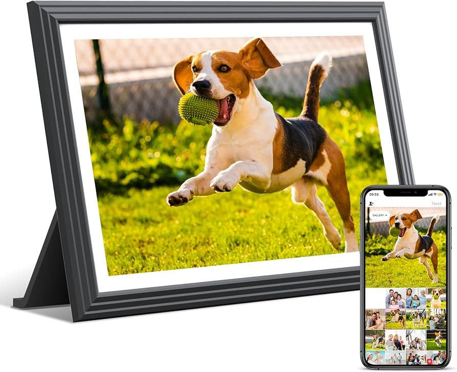 TOLOVE Digital Picture Frame 10.1 Inch-16G WiFi Digital Photo Frame,1280 * 800 HD IPS Touch Scree... | Amazon (US)