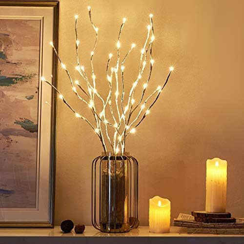 EAMBRITE Pre Lit White Birch Twig Branch Lights 30IN 60LT Plug in Lighted Willow Branch for Home ... | Amazon (US)