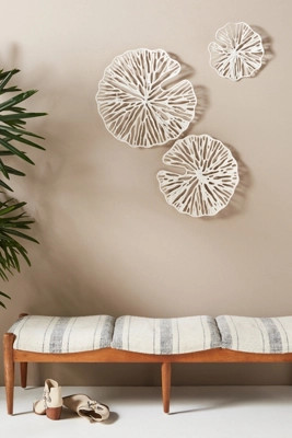Sand Dollar Wall Hangings, Set of 3 | Anthropologie (US)