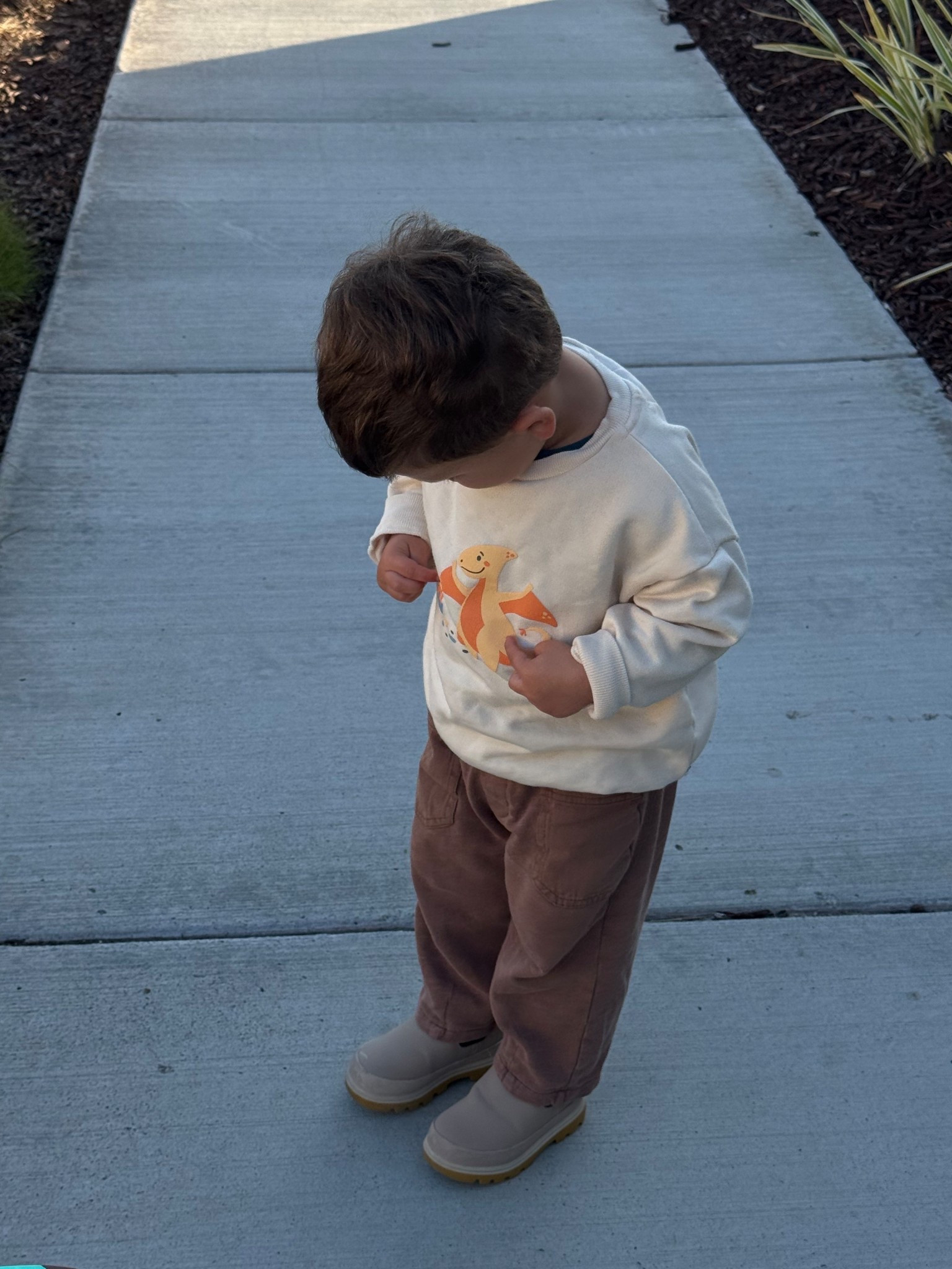 An actually cute dinosaur sweatshirt! Toddler boy mom win 

#LTKmomlife #LTKBaby #LTKKids