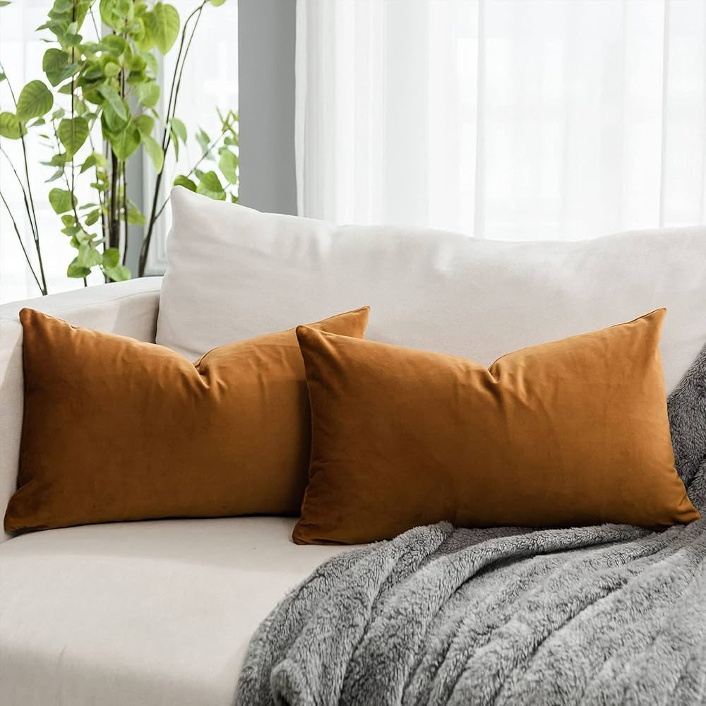 QUAFOO Burnt Orange Velvet Decorative Lumbar Throw Pillow Covers 12x20,Pack of 2 Luxury Solid Sof... | Amazon (CA)