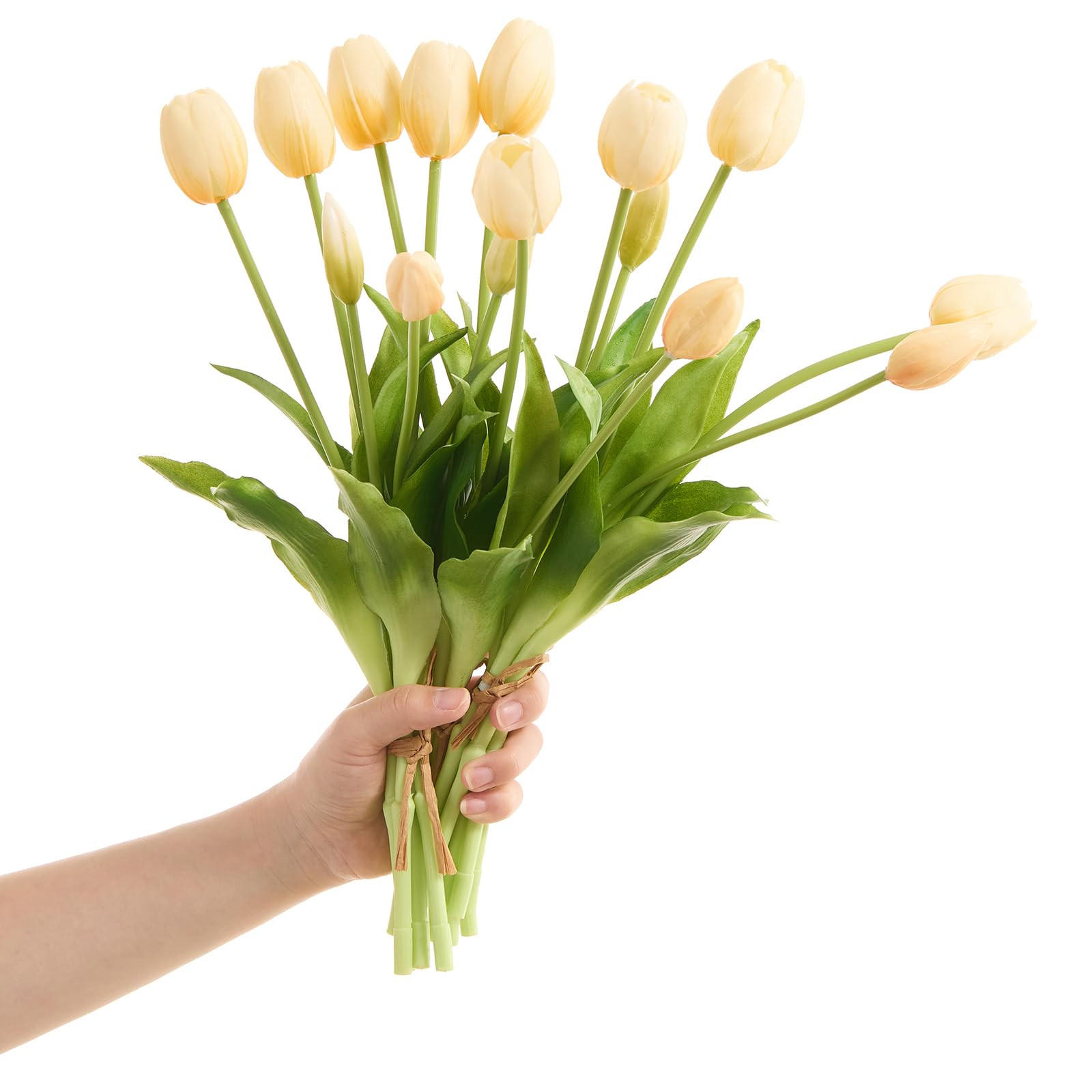 15 pcs Cream Tulips Artificial Flowers Faux Tulips Real Touch Latex Fake Flower Bouquet for Sprin... | Amazon (US)