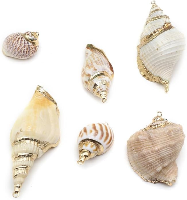 20pcs Natural Shell Pendants Spiral Conch Shell Beach Cowrie Sea Shells Charms Jewelry Charms Oce... | Amazon (US)