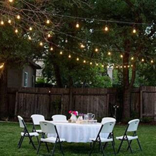 Ledpax Technology 48 FT LED Outdoor\Indoor Waterproof String Lights, 15 Sockets, 16 S14 LED Ediso... | The Home Depot