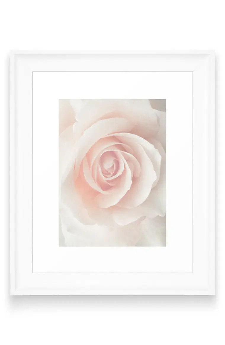 Magda Opoka Dusty Pink Rose Framed Wall Art | Nordstrom