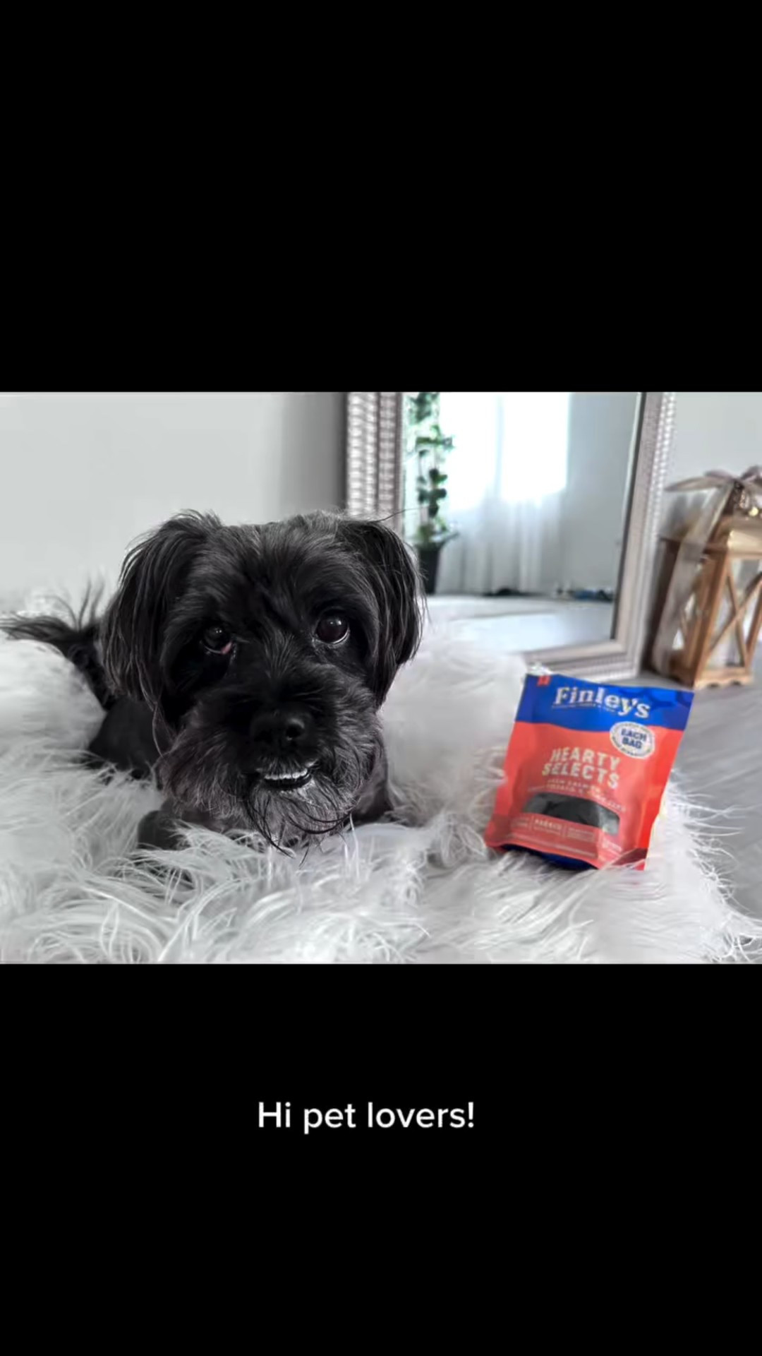 Finley’s Hearty Selects beautifully packed with care . Once I opened the package the treats smells nice, they are soft chewed in shape of heart and I think this is very sweet. As soon as I have my dog to sniff he grabbed it so fast. Usually he curious and not always taking to eat until he figured out he likes it. But these one he likes a lot of. When I take a package he already knows this is favorite snack. It made with real salmon, sweet potato, and flax seeds. No artificial flavors or fillers here just pure, tasty ingredients! And this is very important for my dog’s health. Overall very happy with product and that my dog likes it.

#LTKU #LTKPets