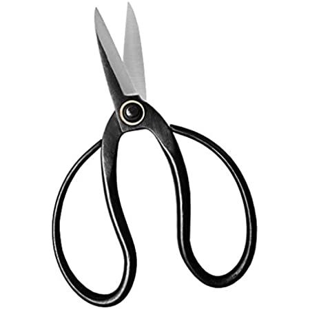 SE 6" Famous Chinese Scissors - SC613 | Amazon (US)