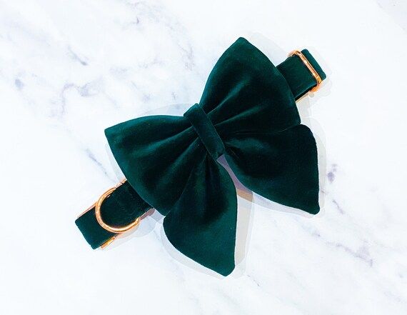 Dark Green Velvet Dog Bow  Available in Dog Sailor Bow and | Etsy | Etsy (US)