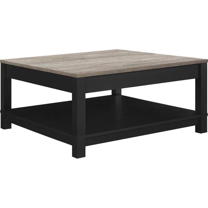 Pettigrew Four Legs Coffee Table with Storage | Wayfair North America