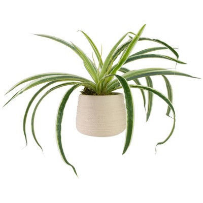 Northlight Artificial Spider Plant in Beige Ceramic Pot - 20" | Target