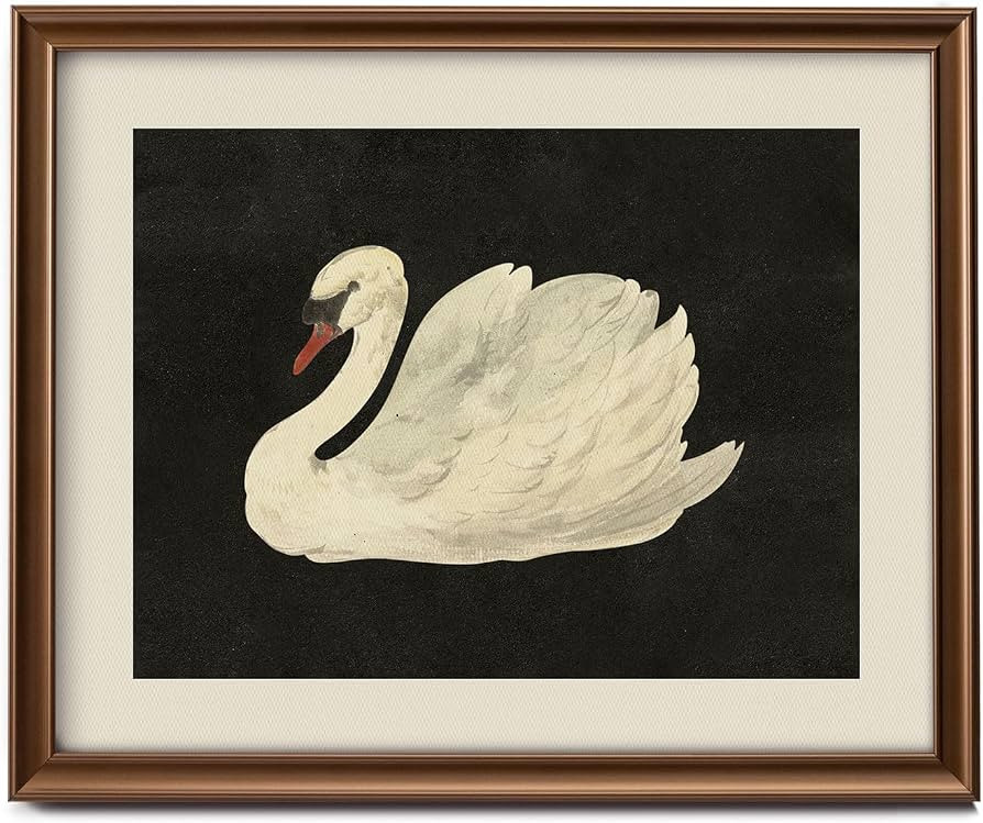 Framed Vintage Eclectic Canvas Wall Art Decor, Farmhouse Wall Prints for Bedroom Bathroom Office,... | Amazon (US)