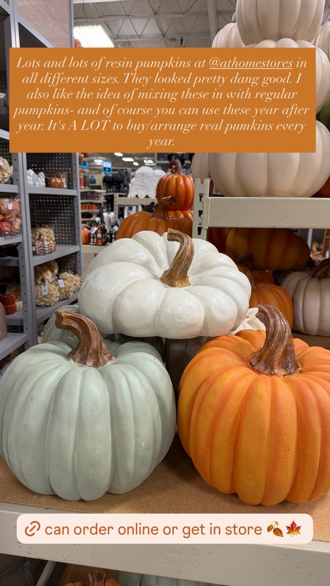 Lots and lots of resin pumpkins at @athomestores in all different sizes. They looked pretty dang good. I also like the idea of mixing these in with regular pumpkins- and of course you can use these year after year. It's A LOT to buy/arrange real pumkins every year.