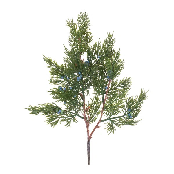 Arrangement | Wayfair North America