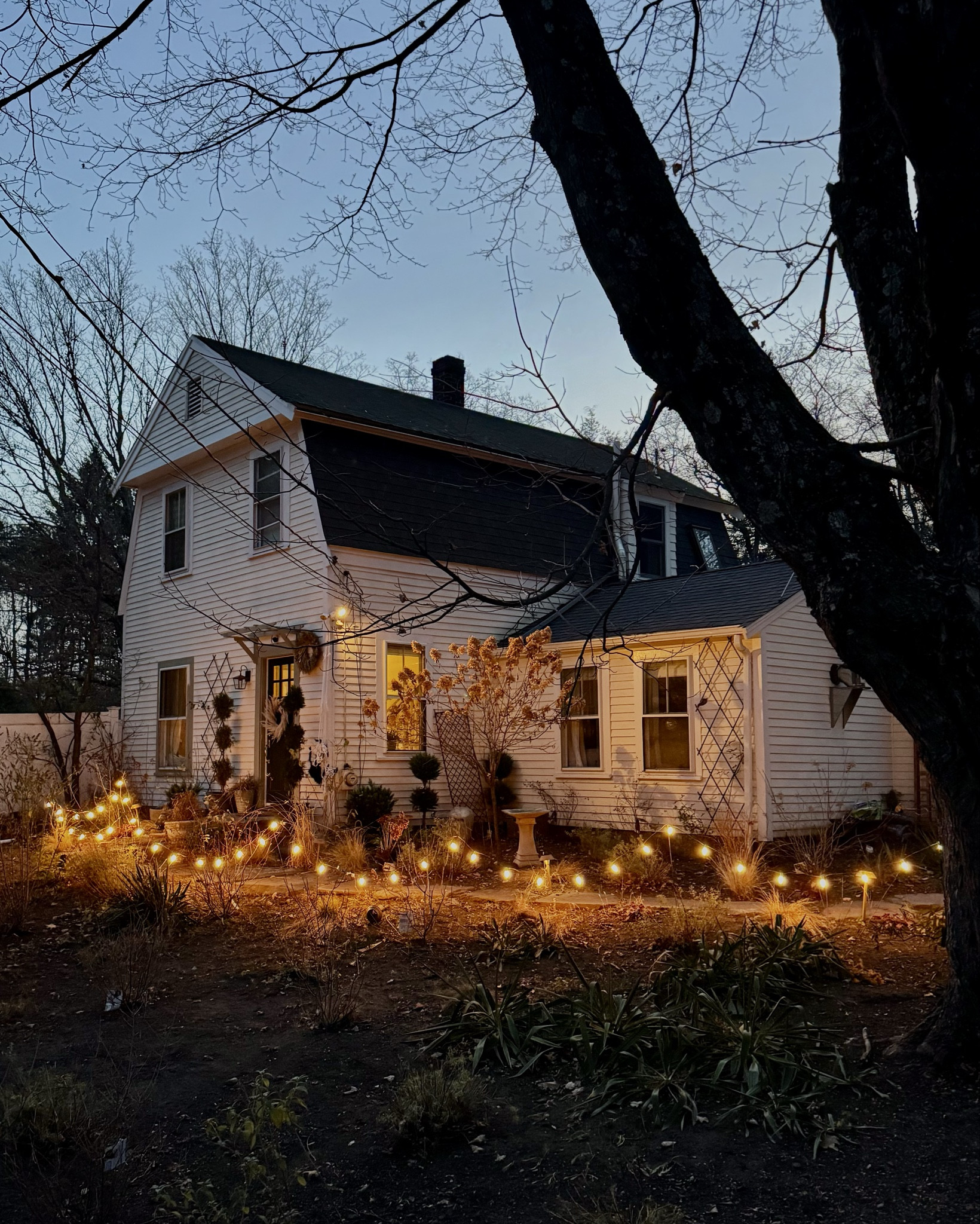 Trying something new as we ease into holiday decorating…a bulb light pathway! And I’m feeling it. Still need to do the other side. I used garden stakes to string the lights and a timer so they’re on from dusk to dawn  

Holiday decor, Amazon, Christmas lights, Christmas decor, outdoor Christmas decorations, Lowe’s  

#LTKHome #LTKFindsUnder50 #LTKSeasonal