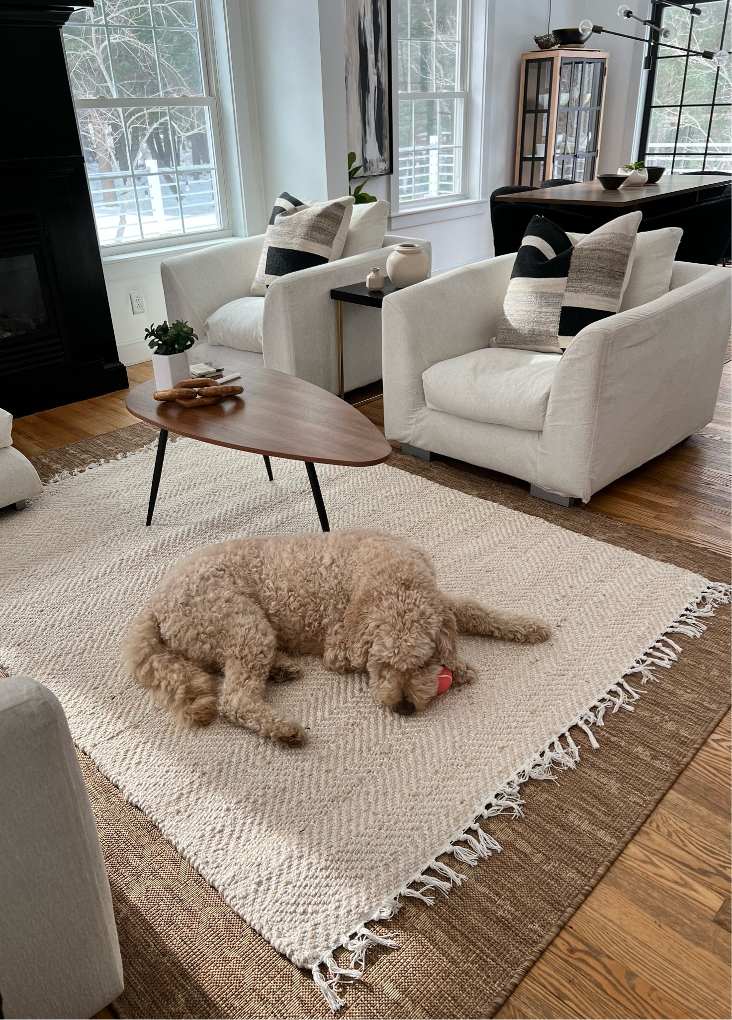 Home finds under $100

#LTKunder50 #LTKunder100 #LTKhome