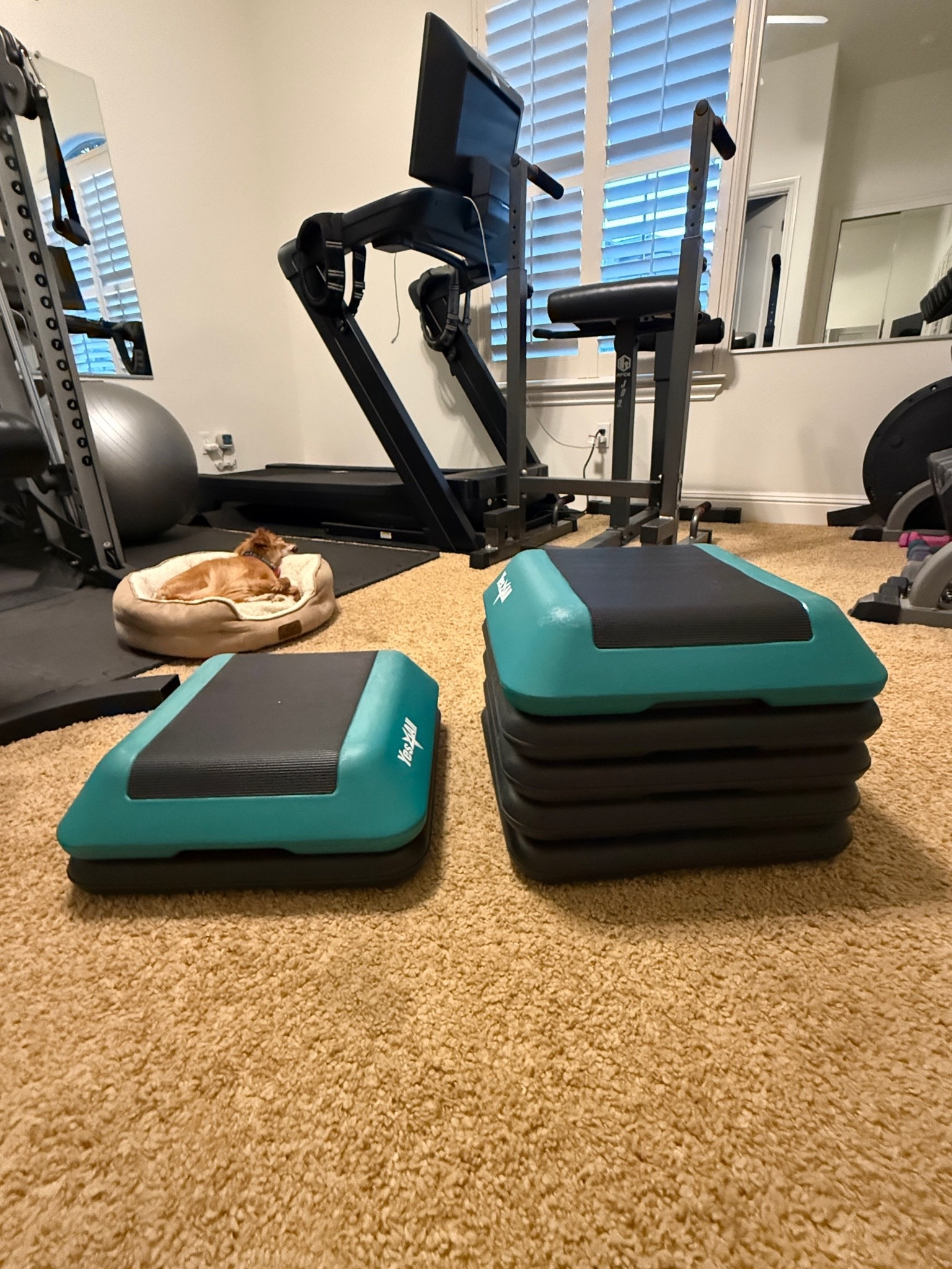 Love these stackable step platforms! . Available in 4/6/8/10/12 sizes. Highly recommended. Perfect for Pilates, yoga, weight training and more.

#LTKfitnessgoals #LTKActive #LTKOver40