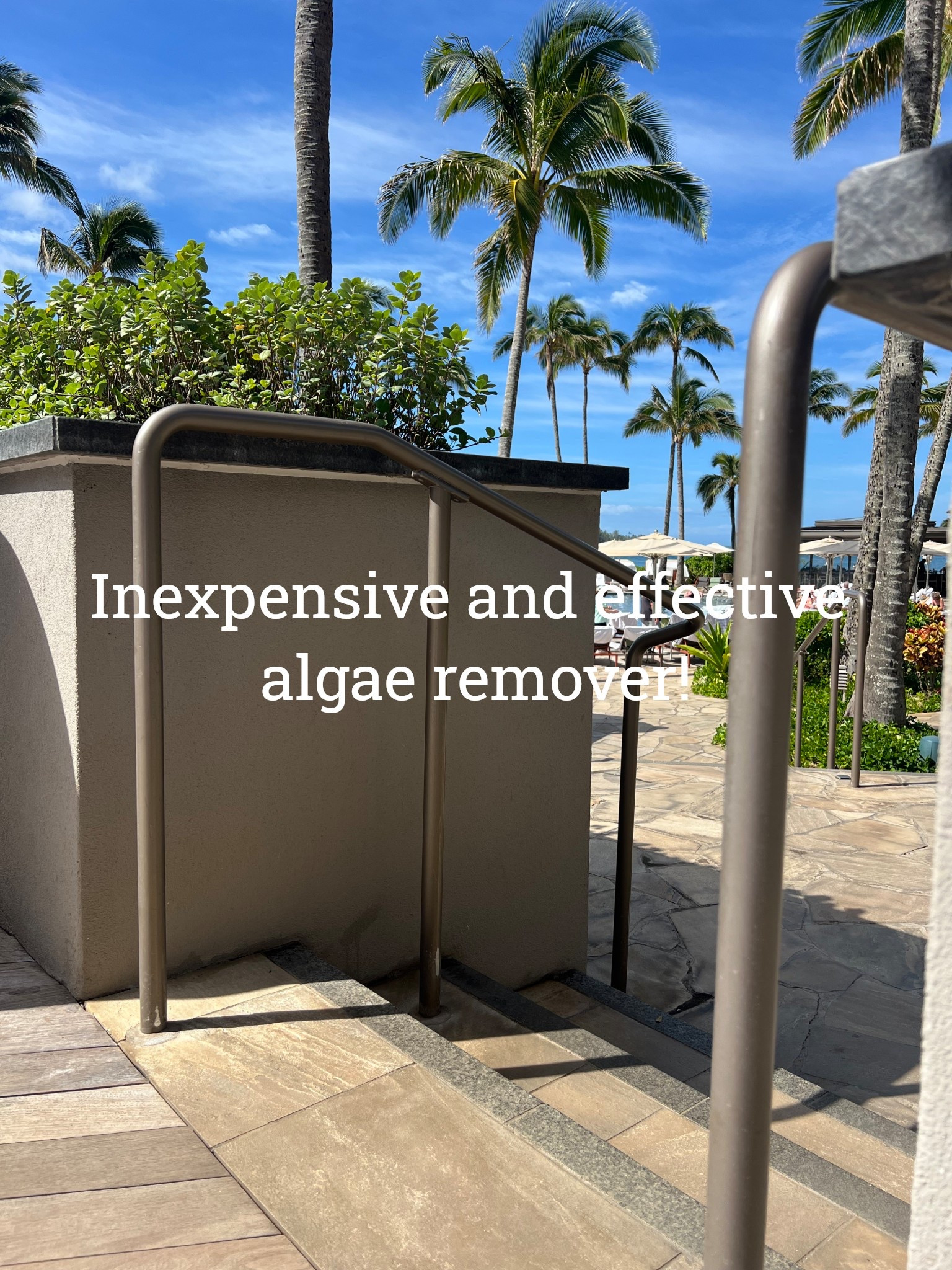 I just watched the crew at the Ritz Carlton use my favorite carpet cleaner to remove algae! I was shocked at how efficient it is…

#cleaninghack #cleaning #pool #lifehack 

#LTKHome #LTKSeasonal