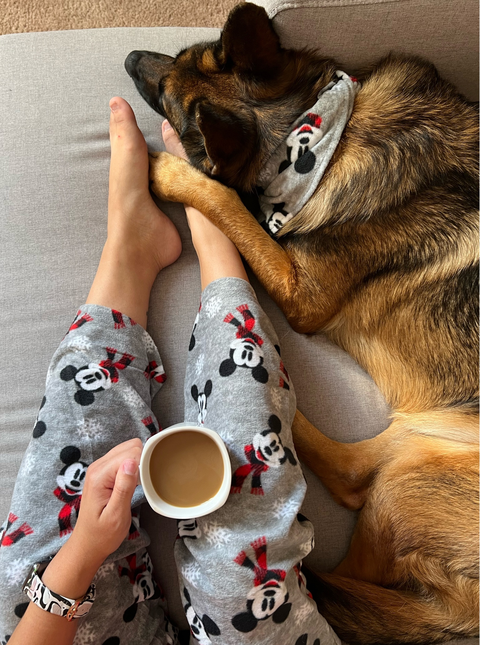 I got these family pajamas pants for our holiday Disney trip. They even have matching bandanas for dogs! Currently on sale so run and grab them  

#LTKSeasonal #LTKfamily #LTKHoliday