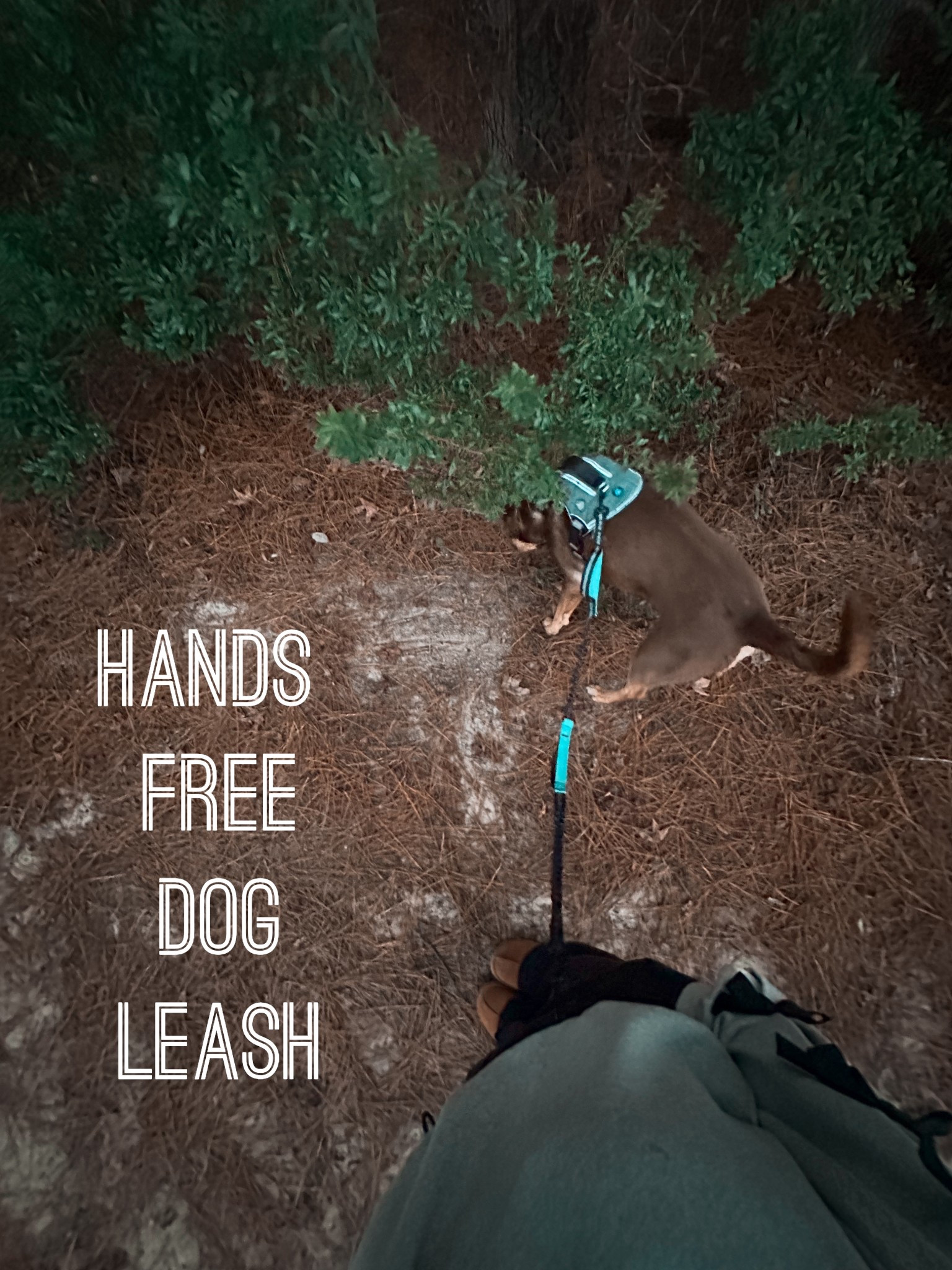 This hands free dog leash was one of the best things I bought myself this year!! It makes walking my very large dogs so much easier and more enjoyable  

#LTKmorningroutine #LTKGiftGuide #LTKActive