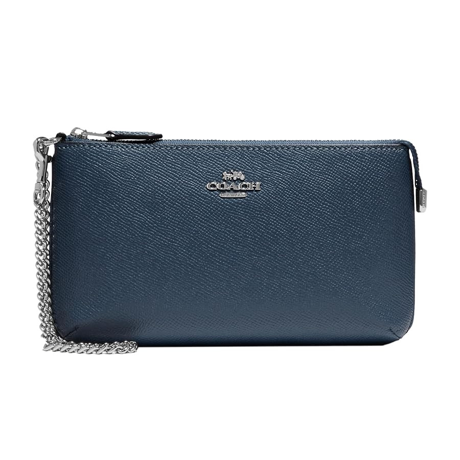 Coach Large Wristlet W Chain | Amazon (US)