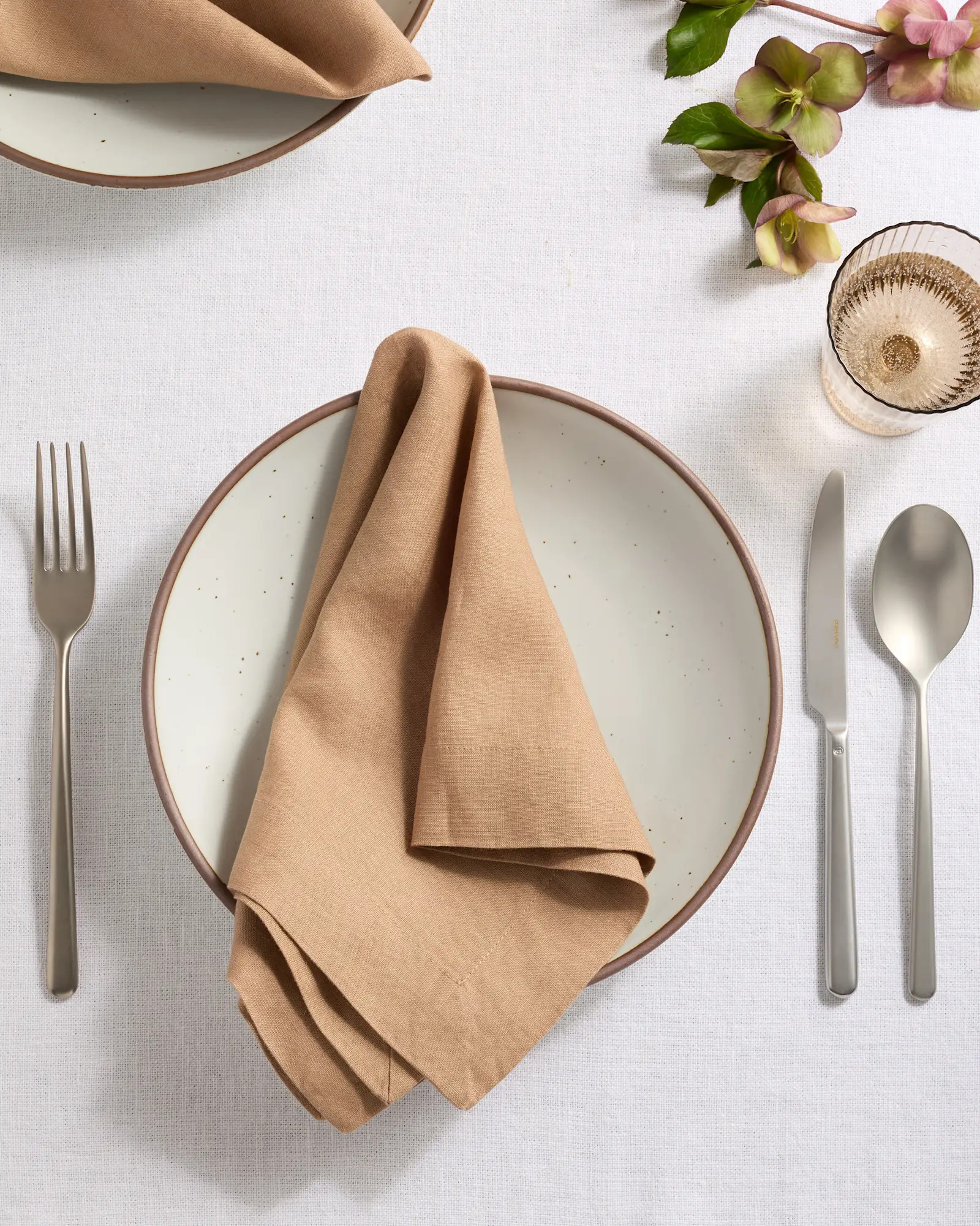 European Linen Wide-Hem Napkins (Set of 12) | Quince