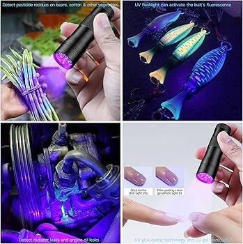 UV Flashlight Black Light–Small Portable Mini 12 LED Blacklight Flashlight for Hidden Stain Det... | Amazon (US)
