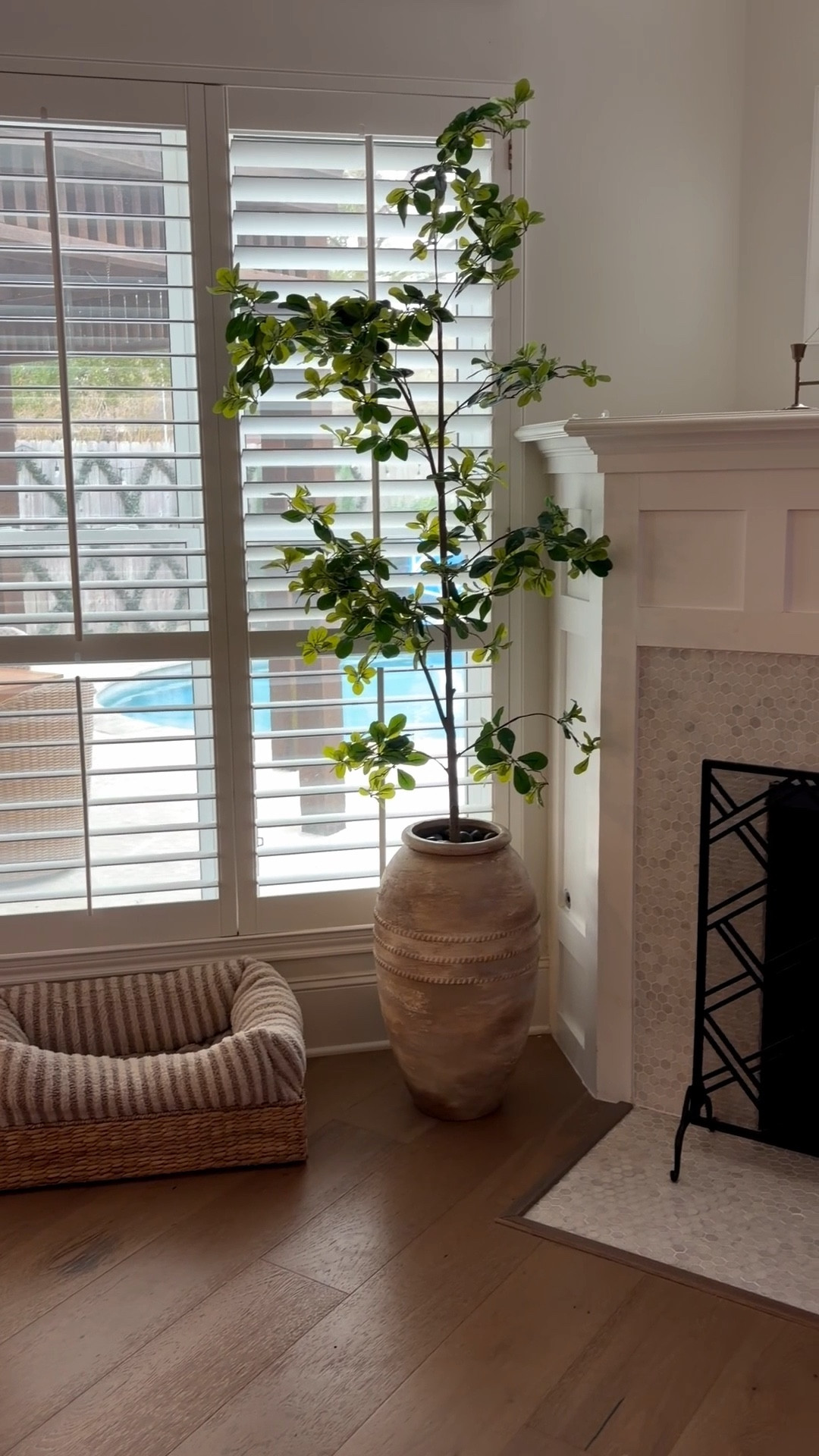 This tree is perfect!! Pot is linked, but I painted ours to make it look like a vintage olive jar. 




Shady lady 
Black olive tree
Realistic fake tree
Faux tree
Large planter
Large pot
