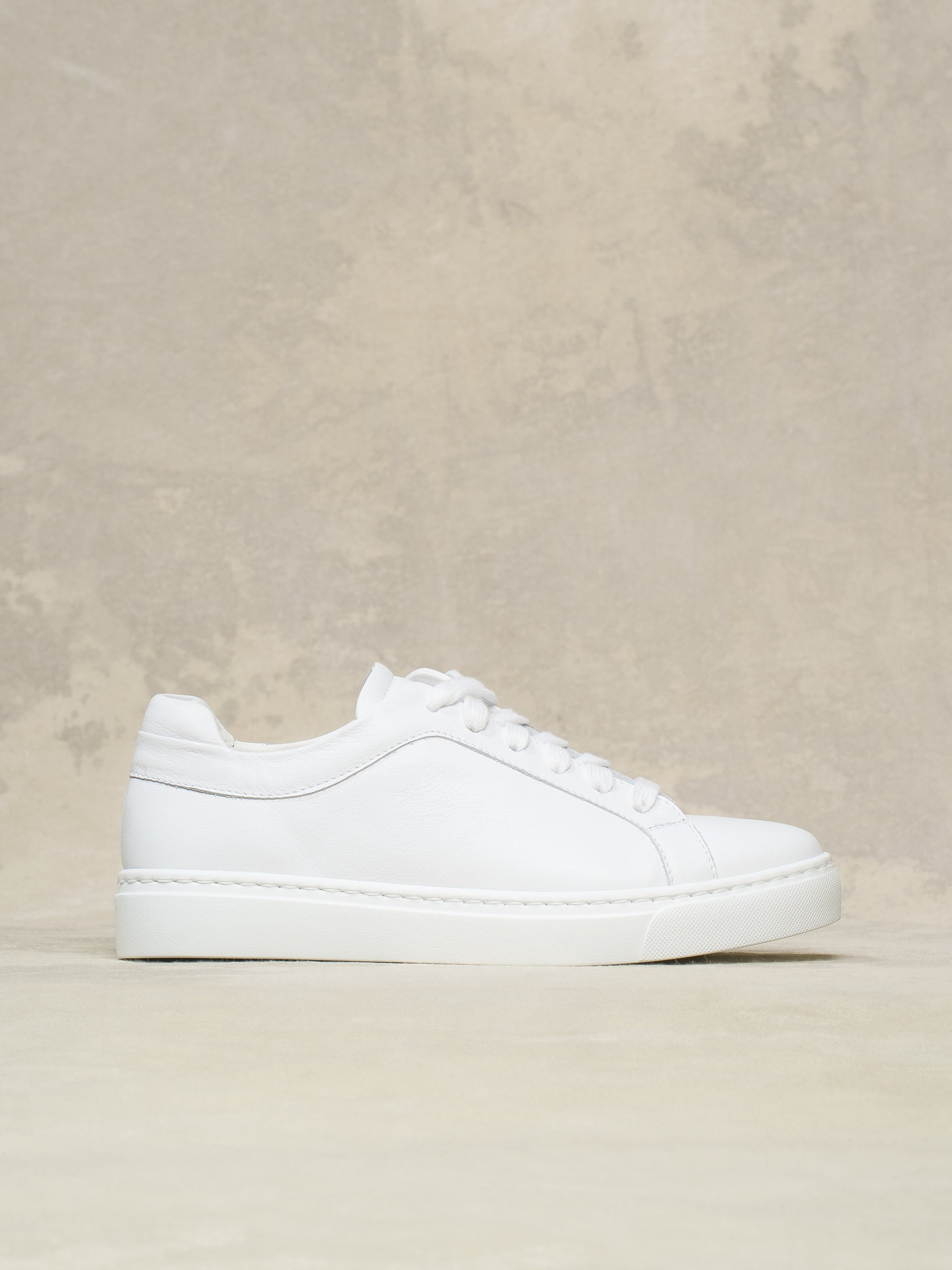 The Palestra Due | M.GEMI