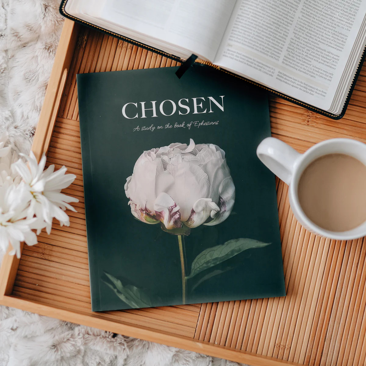 Chosen | Ephesians Study | The Daily Grace Co.