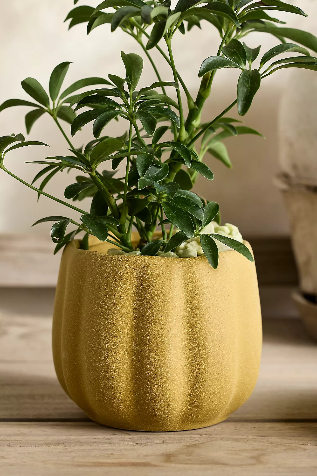 Pumpkin Stoneware Planter | Anthropologie (US)