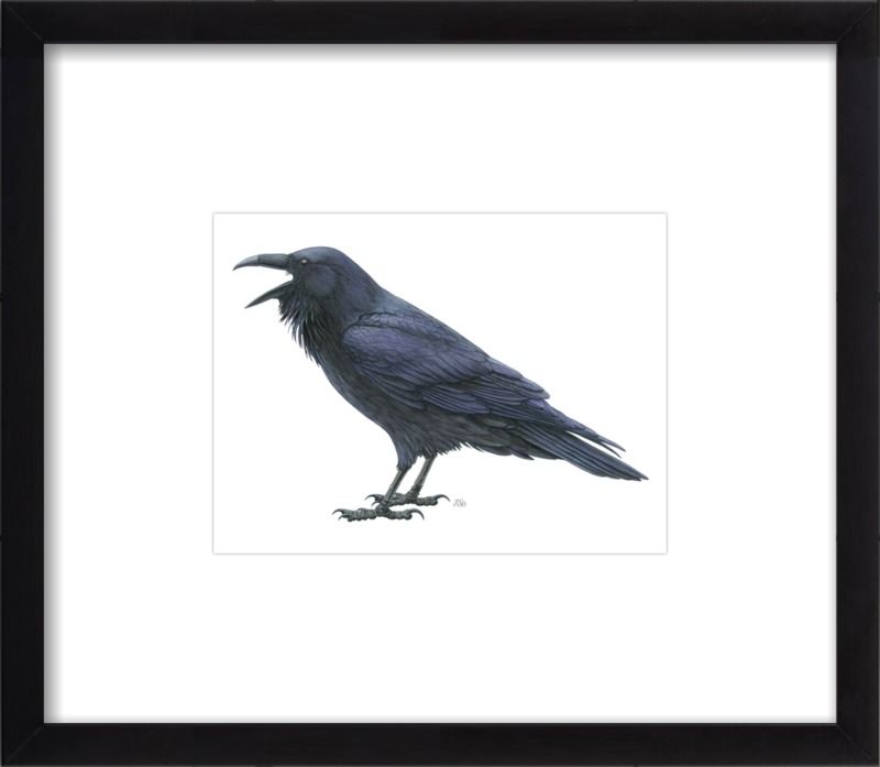 Common raven | Artfully Walls