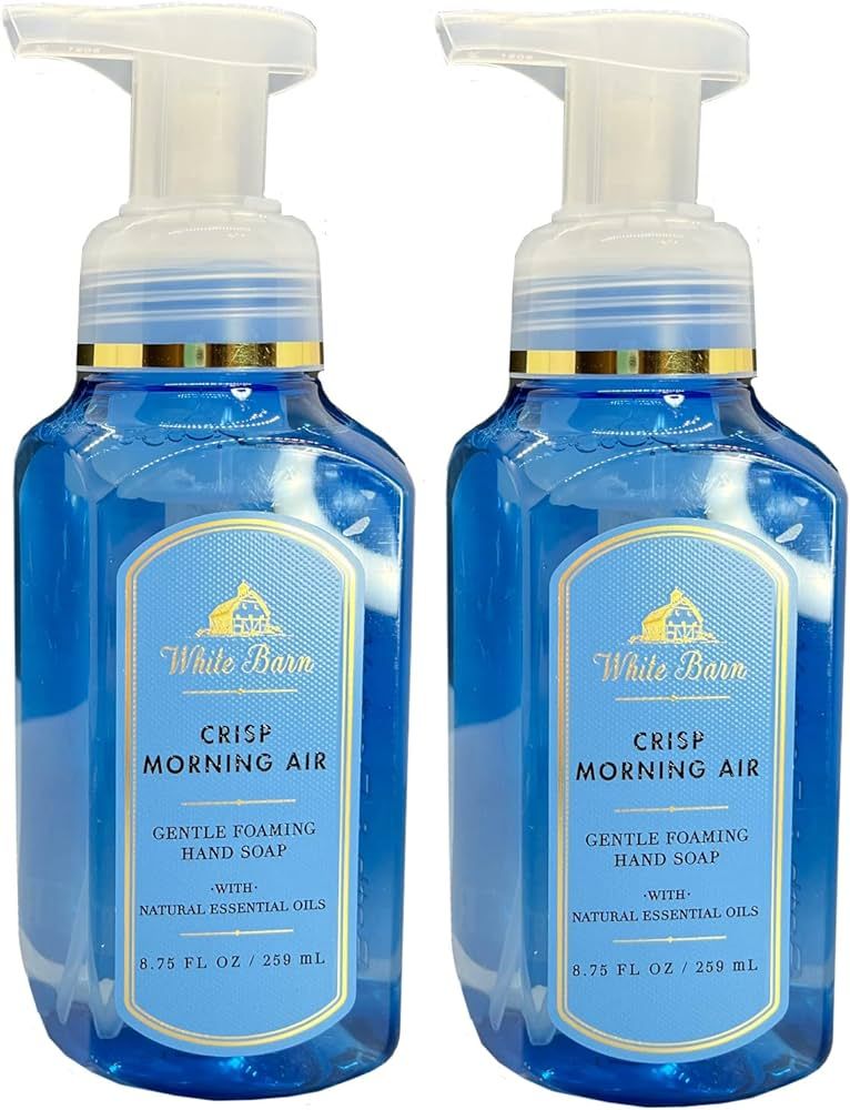 Bath & Body Works Crisp Morning Air Gentle Foaming Hand Soap Set of 2 | Amazon (US)