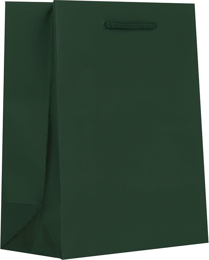 Jillson Roberts Medium Gift Bags, Hunter, 12 Count | Amazon (US)
