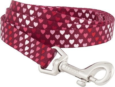 Frisco Gradient Hearts Polyester Dog Leash | Chewy.com