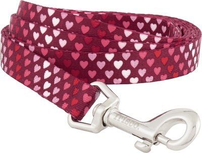 Frisco Gradient Hearts Polyester Dog Leash | Chewy.com