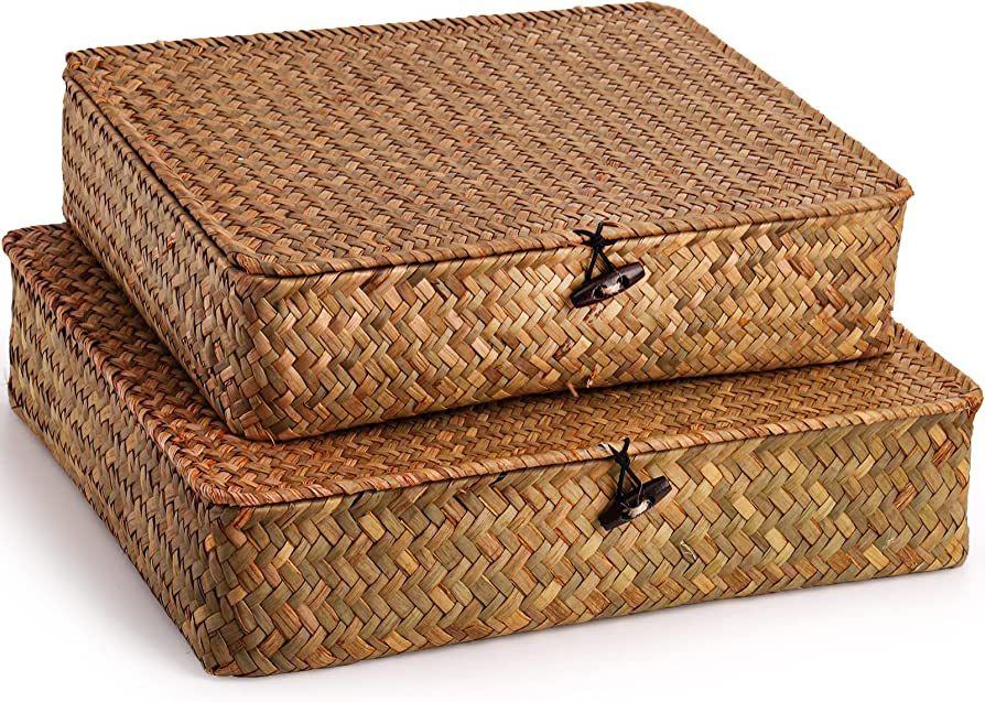 Elsjoy 2 Pack Seagrass Baskets with Lid, Wicker Storage Baskets Flat Rattan Storage Bins, Woven O... | Amazon (CA)